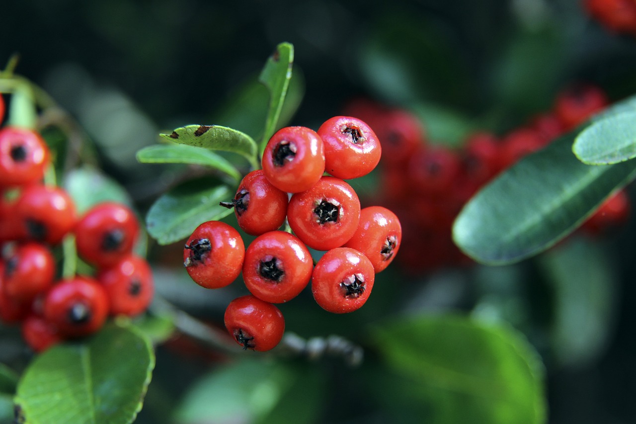 上海U20男足队员失利后哭成一片，徐根宝：哭什么？责任在我